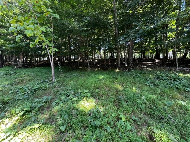 208 Pine Ridge Road Beech Mountain, NC 28604 - Photo 4 of 10 Gallery Image 4