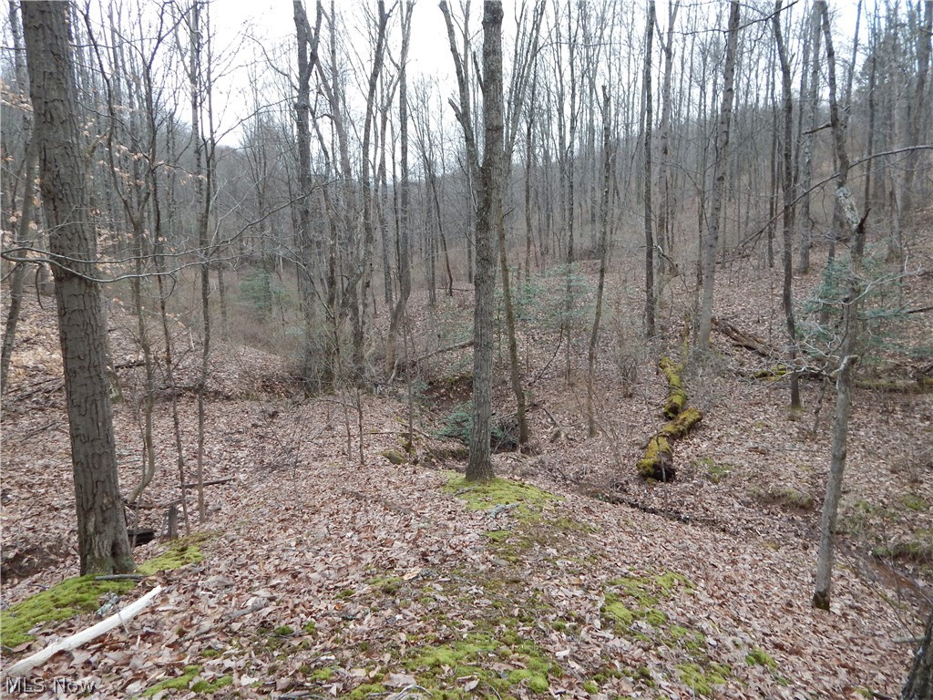 0 Pullman Road Harrisville, WV 26362 - Photo 13 of 17