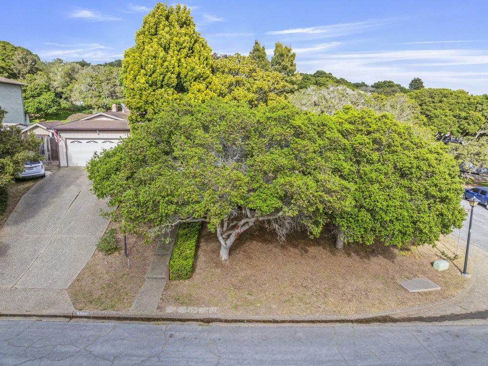 9355 Canyon Oak Road Salinas, CA 93907 - Photo 30 of 38 Gallery Image 30