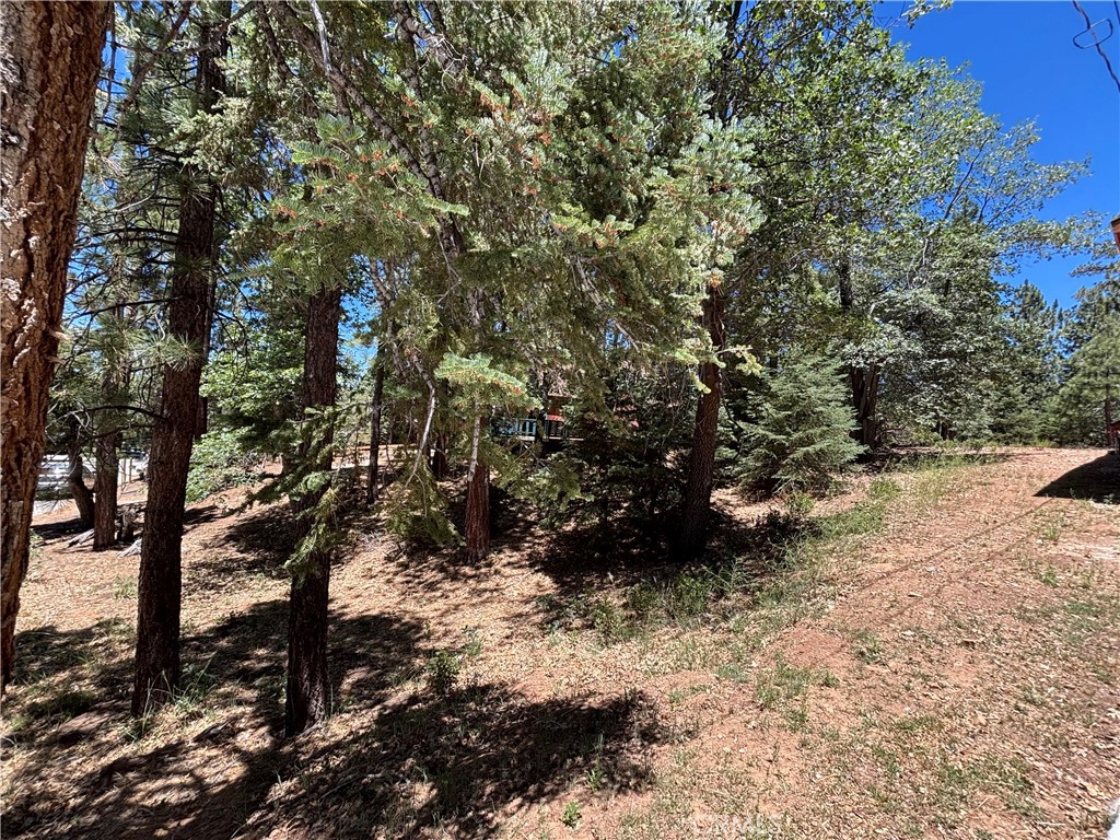 815 Conklin Road Big Bear Lake, CA 92315 - Photo 2 of 7