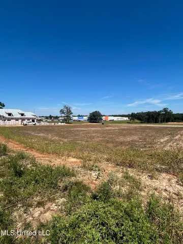$475,000 | 63 South Parcel 2, Lucedale, MS 39452