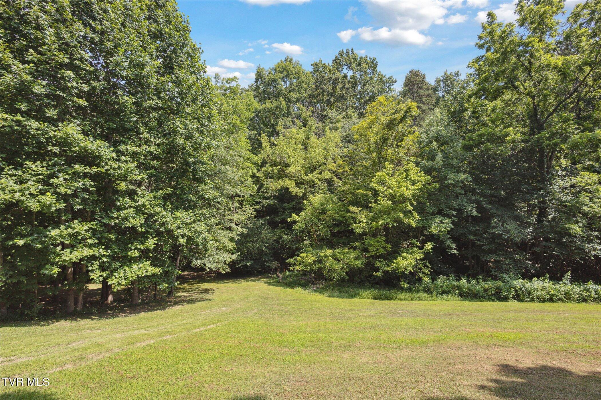 4035 Ridge Road Kingsport, TN 37660 - Photo 36 of 52 36-4035-Ridge-Rd-Kingsport-TN-37660-Wind