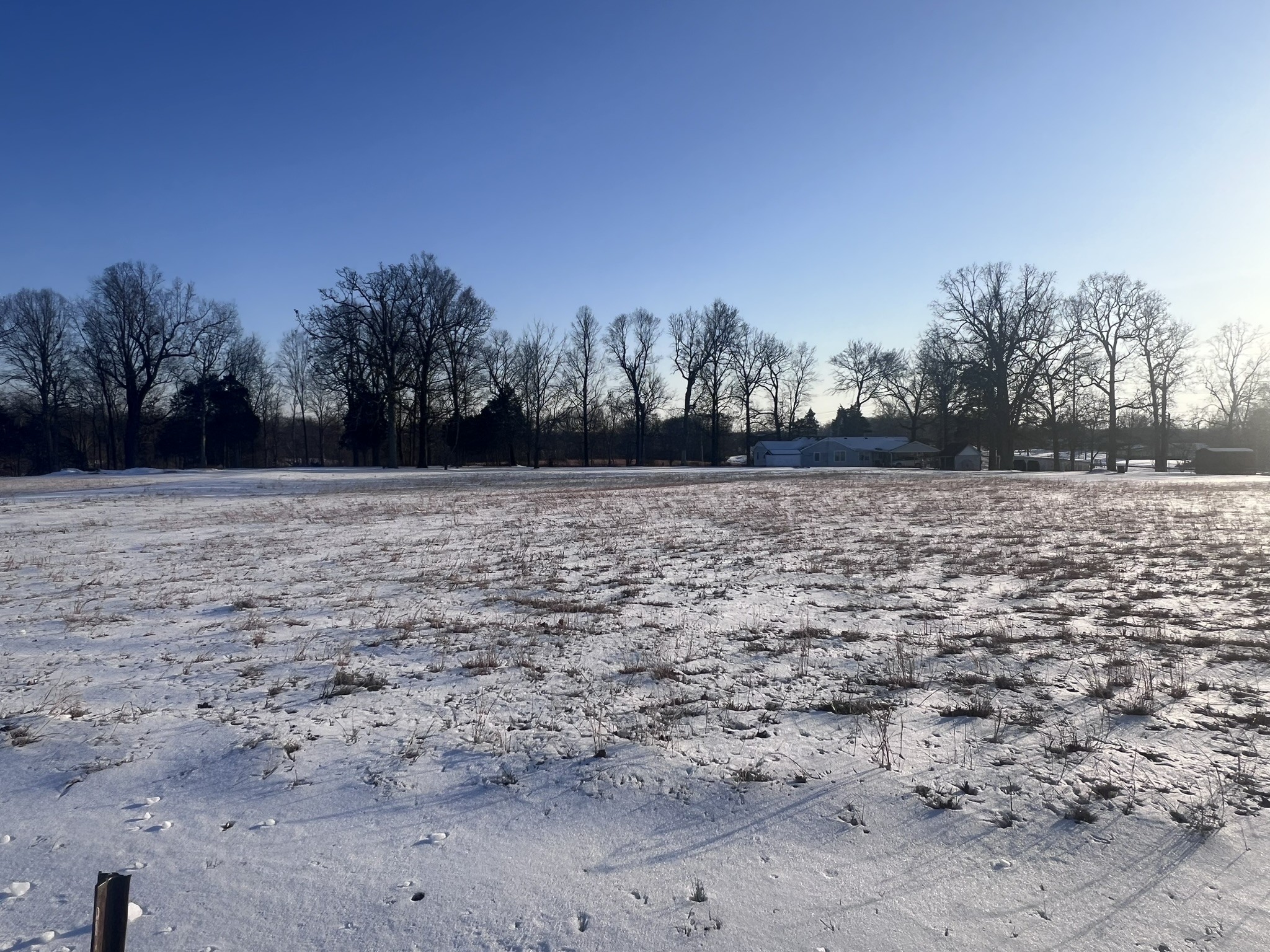 2 Lake Morris Road Hopkinsville, KY 42240 - Photo 3 of 5 a view of a yard