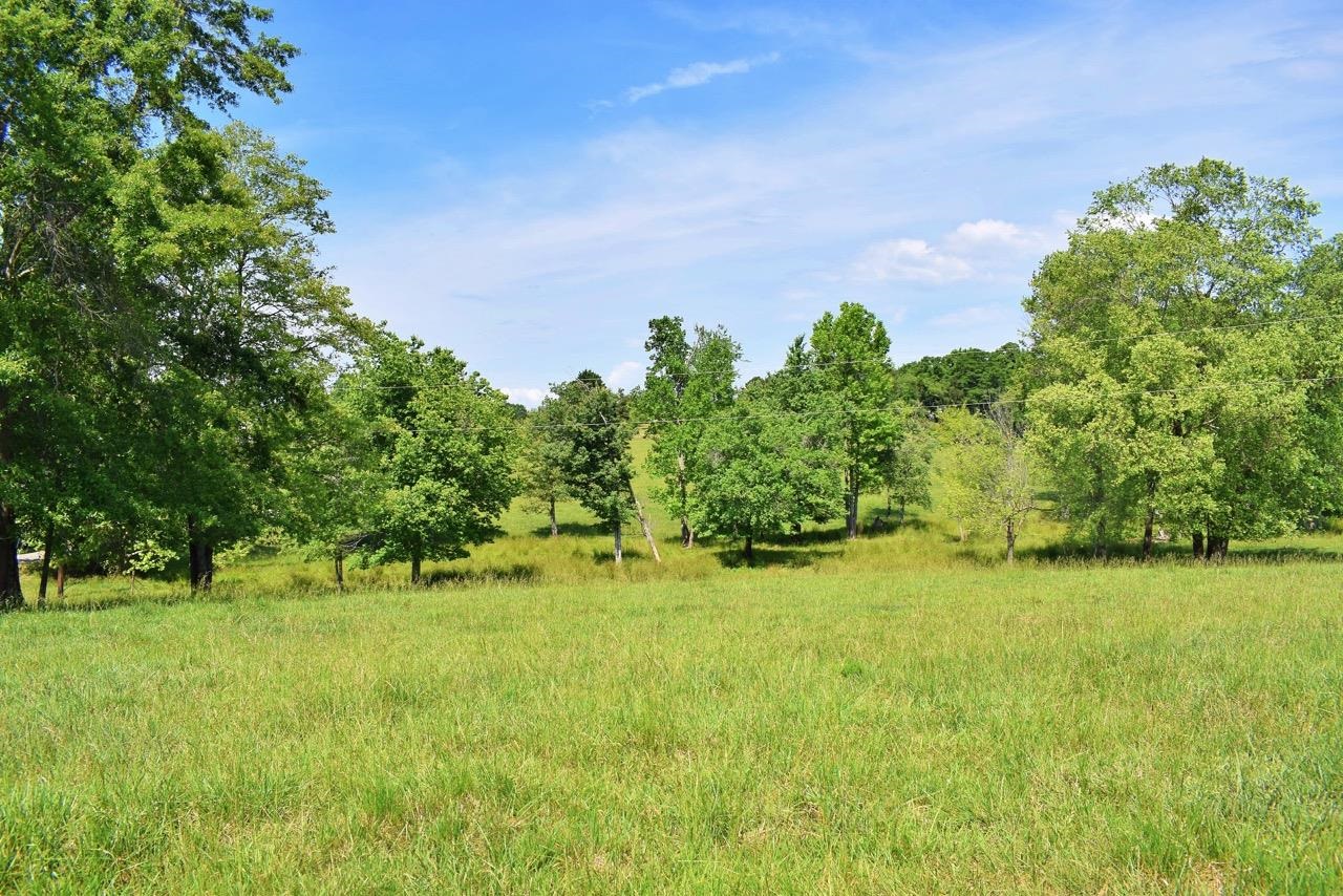 Lot A Apple Orchard Road Inman, SC 29349 - Photo 3 of 35