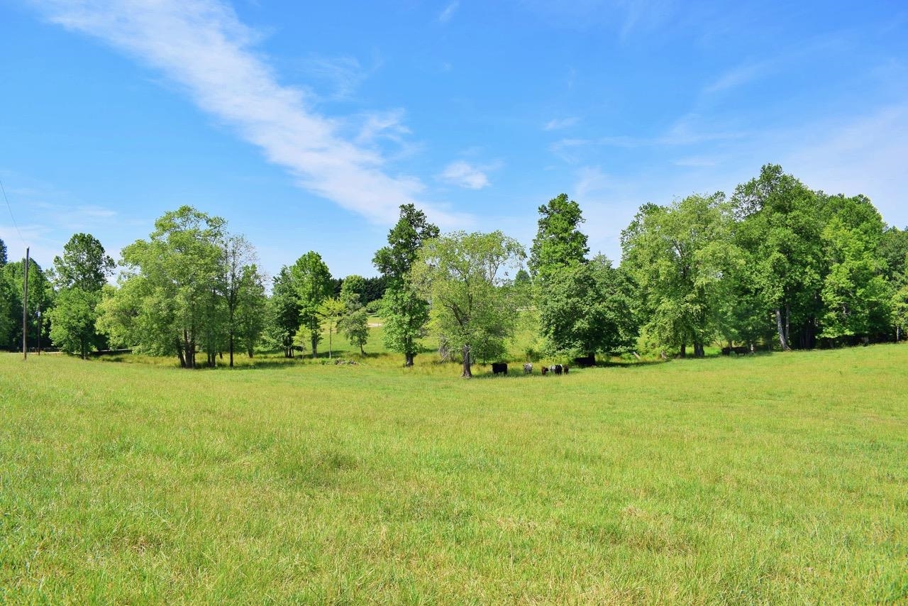 Lot A Apple Orchard Road Inman, SC 29349 - Photo 8 of 35
