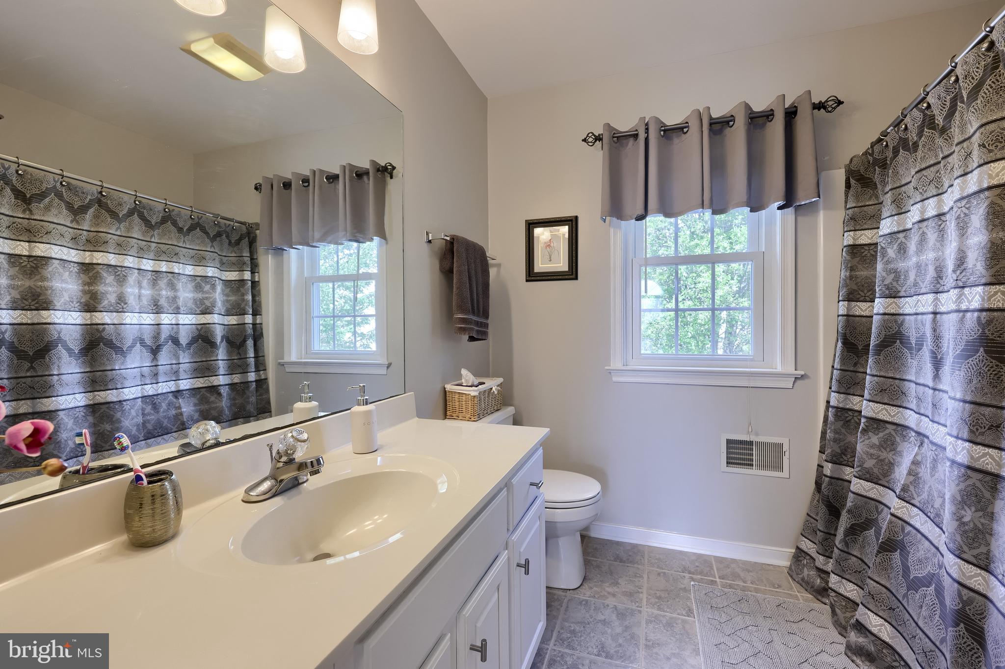 315 Royal Hunt Way Lititz, PA 17543 - Photo 45 of 67 a bathroom with a sink toilet and shower