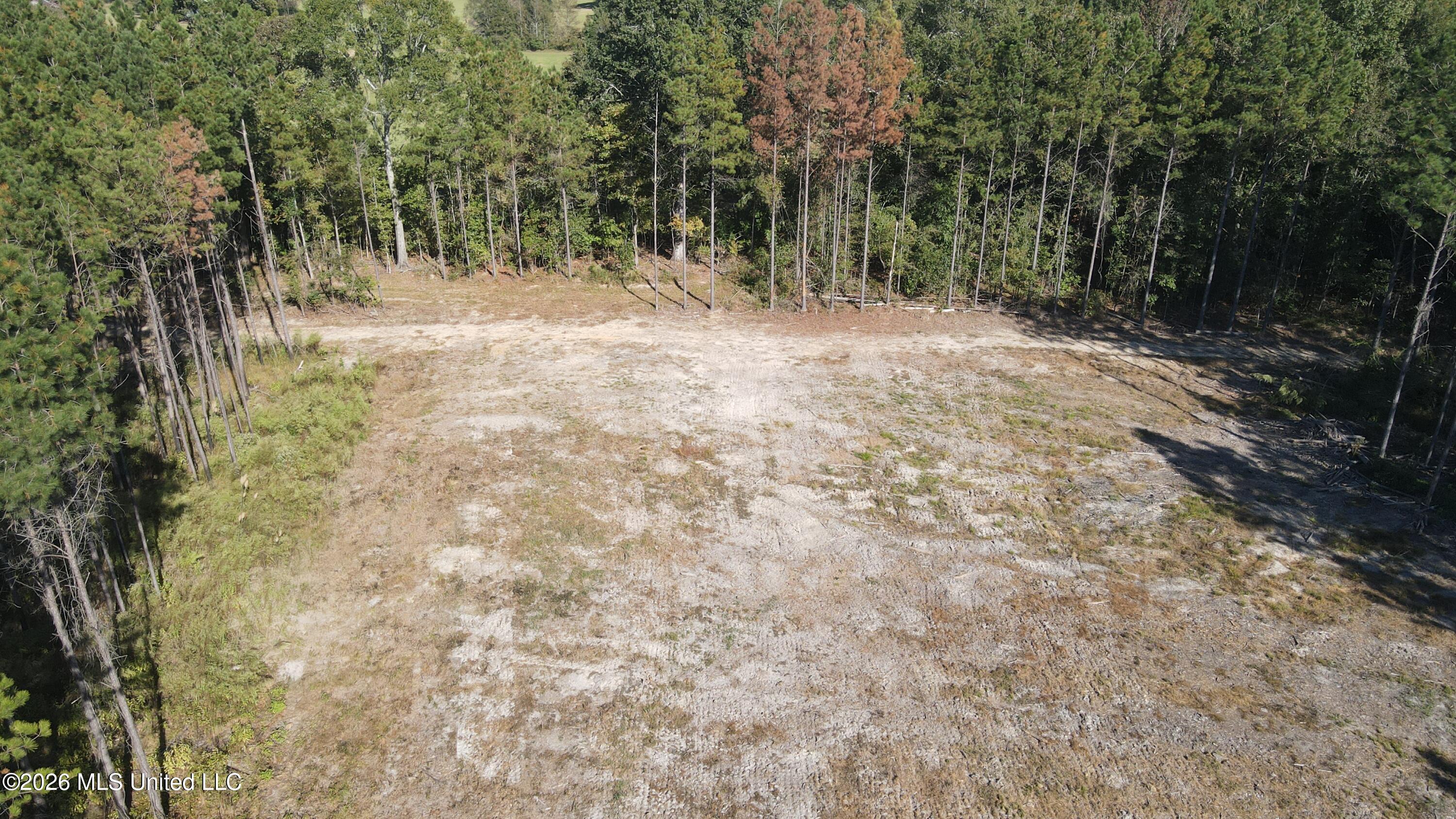 Loyd Irby Road Pelahatchie, MS 39145 - Photo 3 of 30 DJI_0239