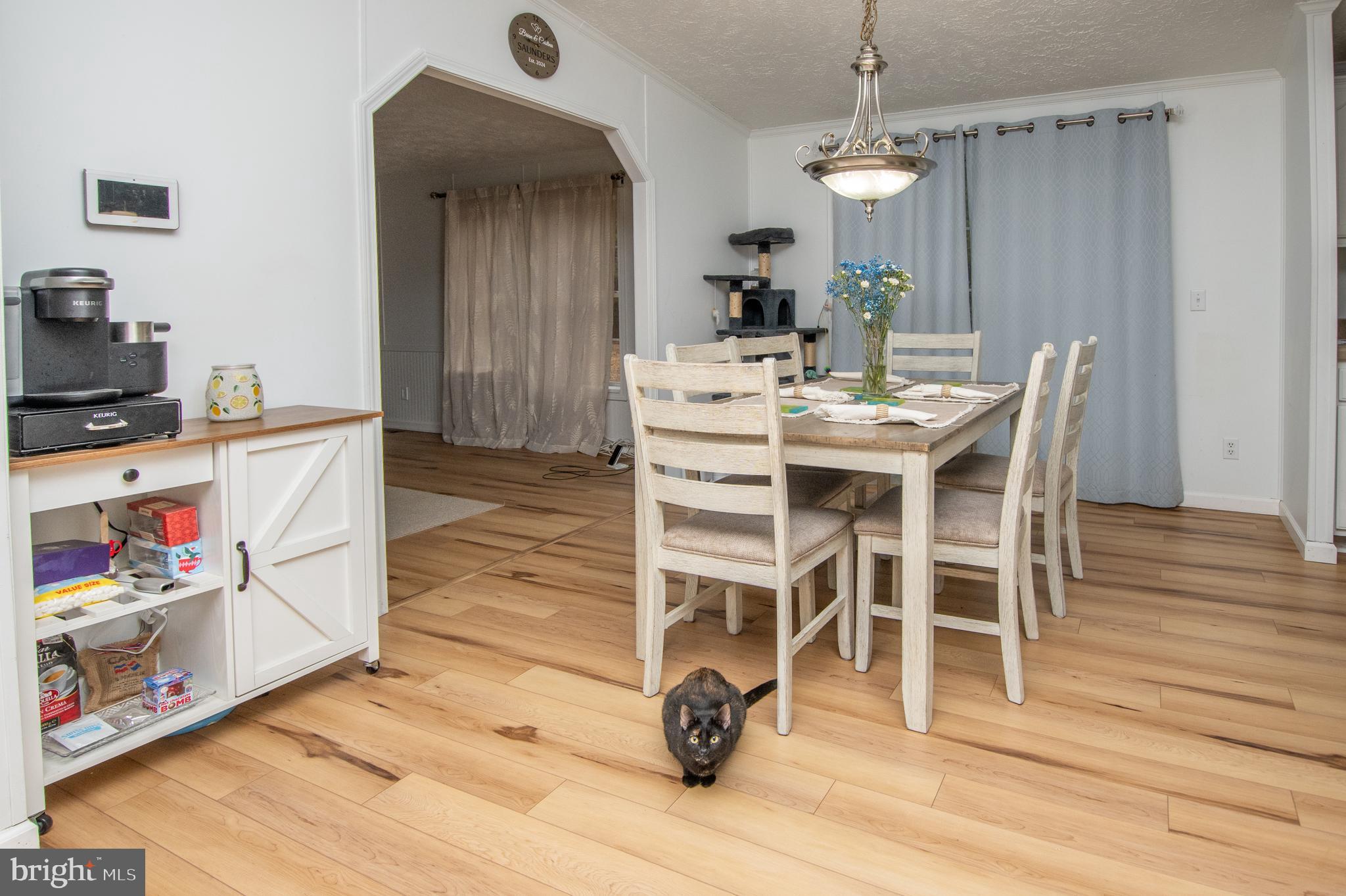 16445 Whitesville Road Delmar, DE 19940 - Photo 4 of 20