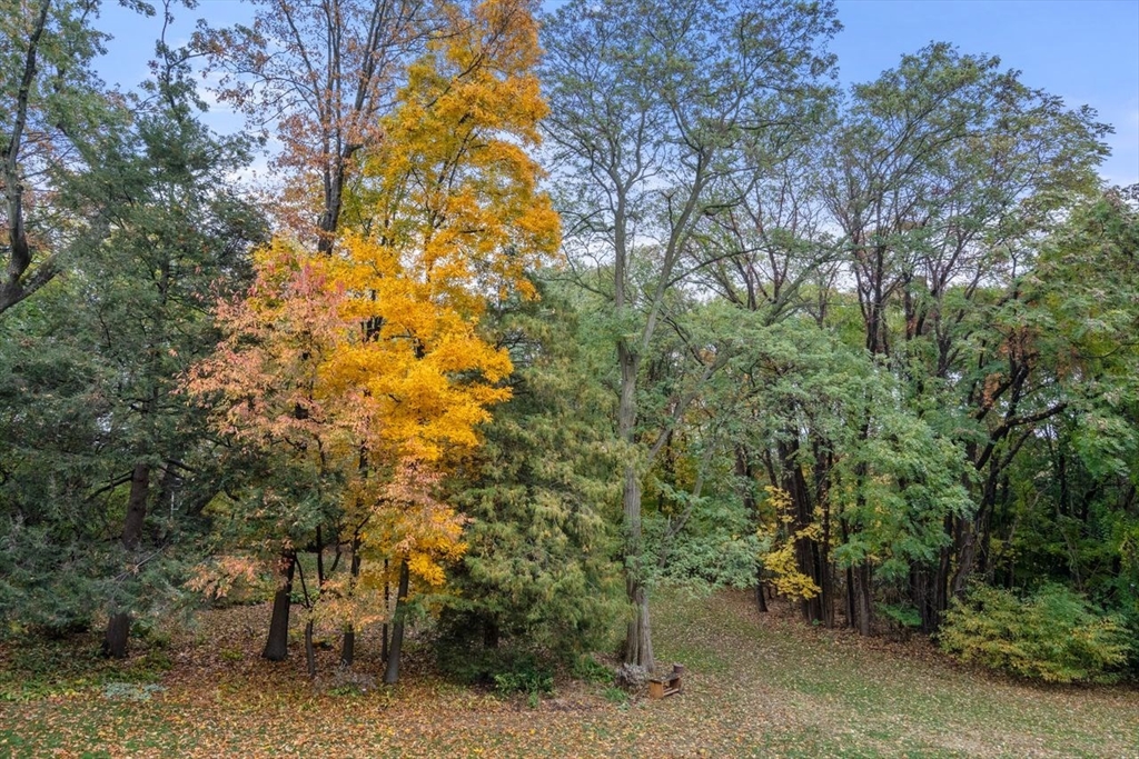 241 Perkins Street, Unit C306 Boston, MA 02130 - Photo 26 of 33 a view of a bunch of trees