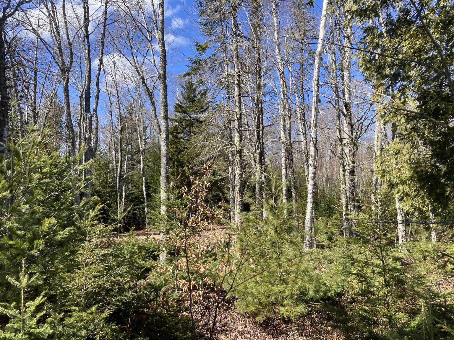 241 Tannery Brook Road Mariaville, ME 04605 - Photo 14 of 20