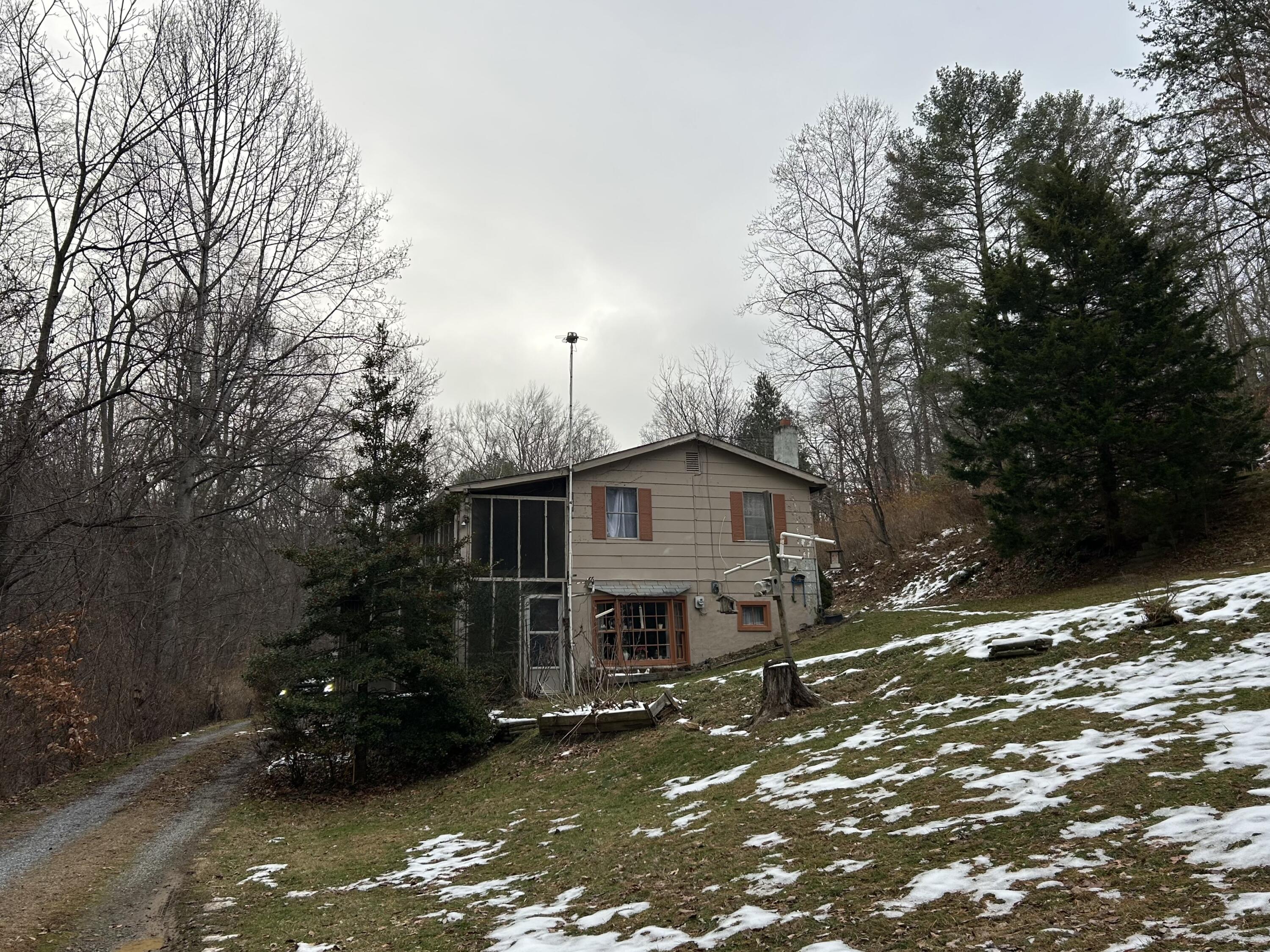 308 Spring Hollow Road Troutville, VA 24175 - Photo 23 of 24 a view of a house with a yard