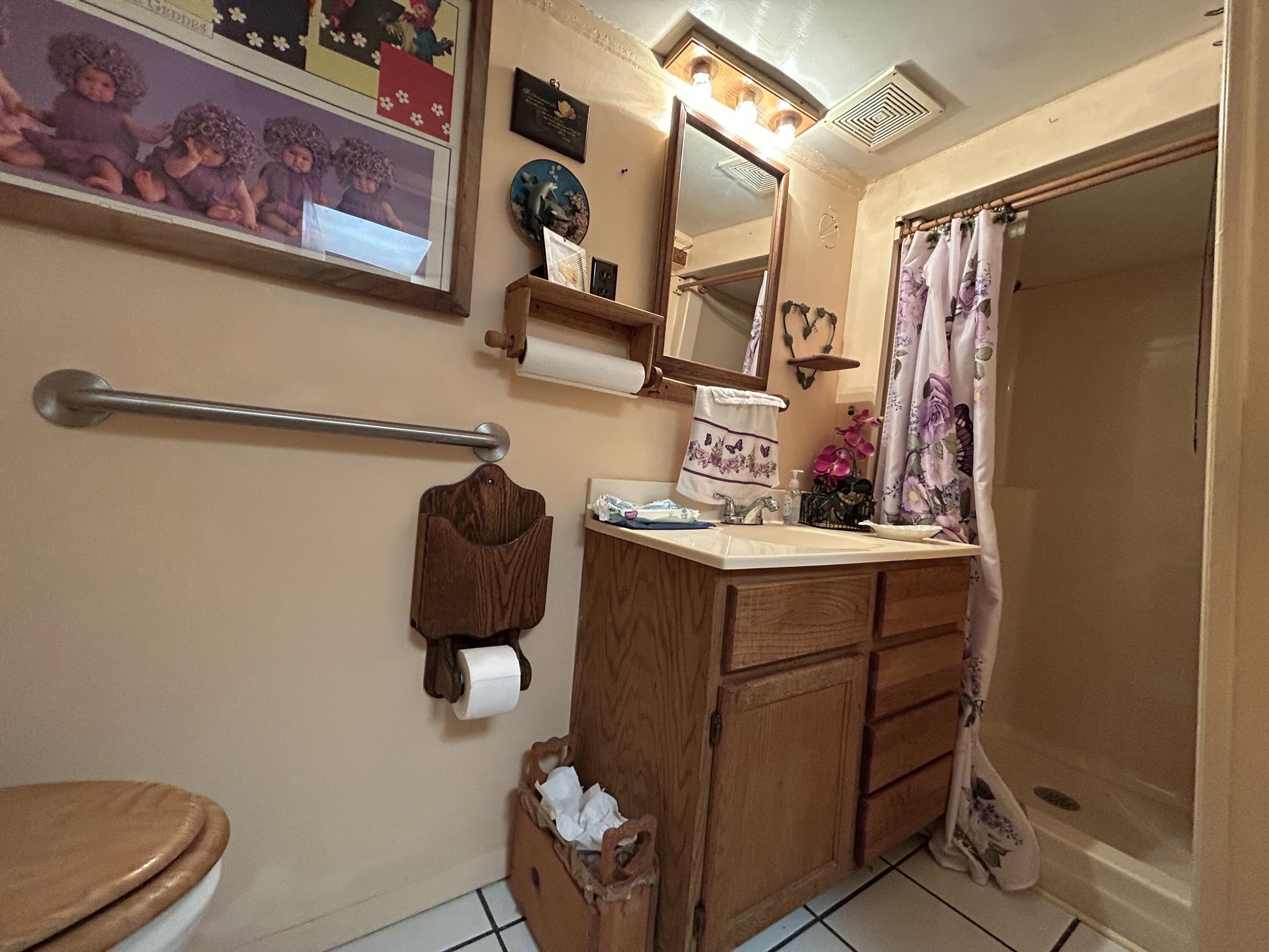 308 Spring Hollow Road Troutville, VA 24175 - Photo 6 of 24 a bathroom with a sink and a mirror