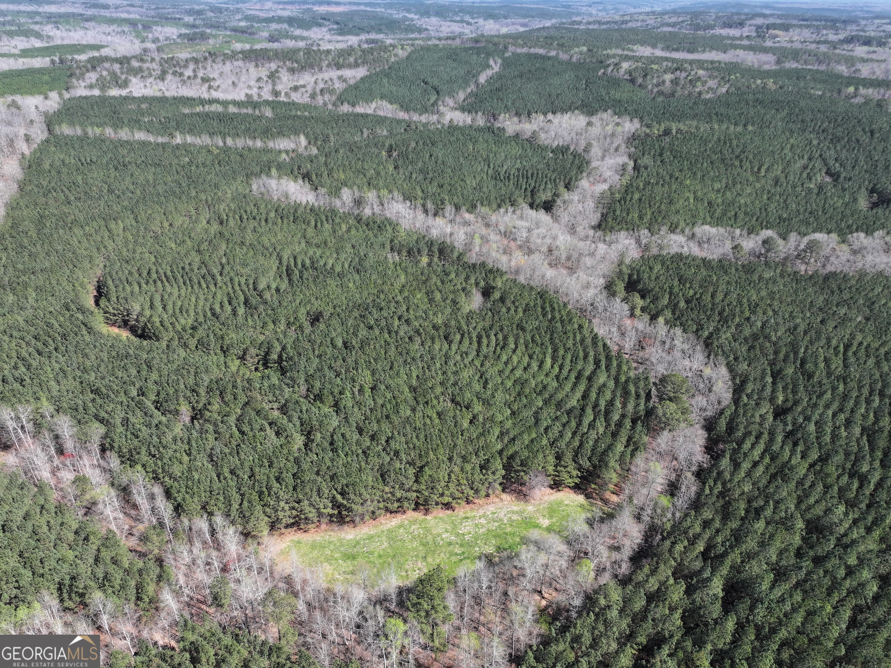 257 Acres On Ridgeway Road Franklin, GA 30217 - Photo 1 of 28