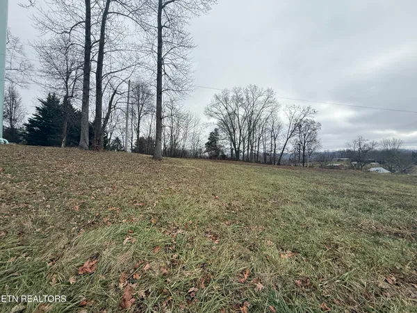 $25,000 | Lot #4 Oak Point Drive, Jonesville, VA 24263