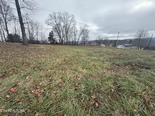 $25,000 | Lot #4 Oak Point Drive, Jonesville, VA 24263
