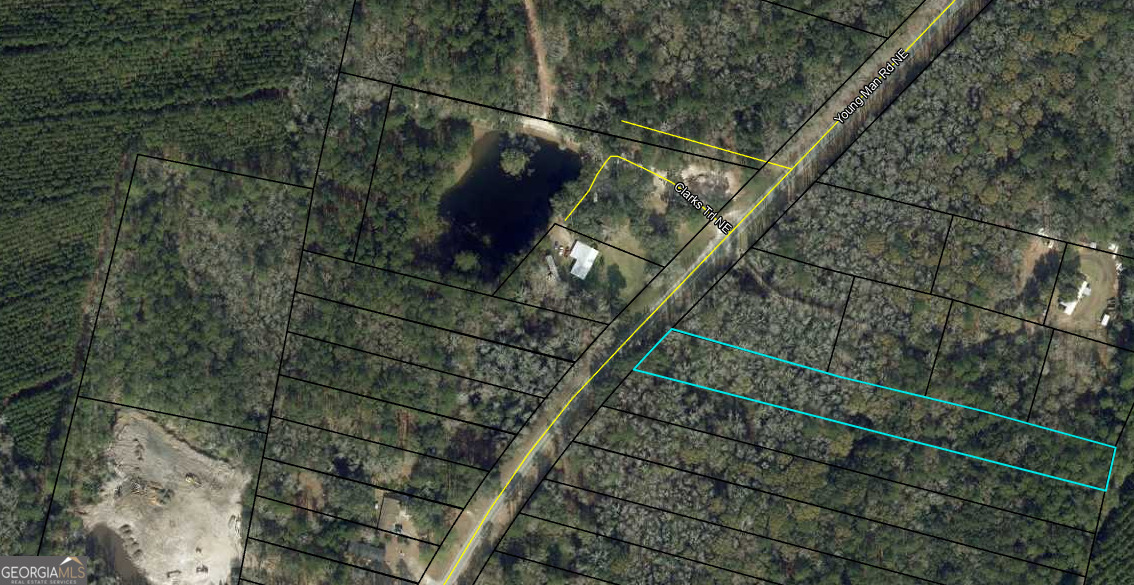 0 Youngman Road Townsend, GA 31331 - Photo 7 of 9