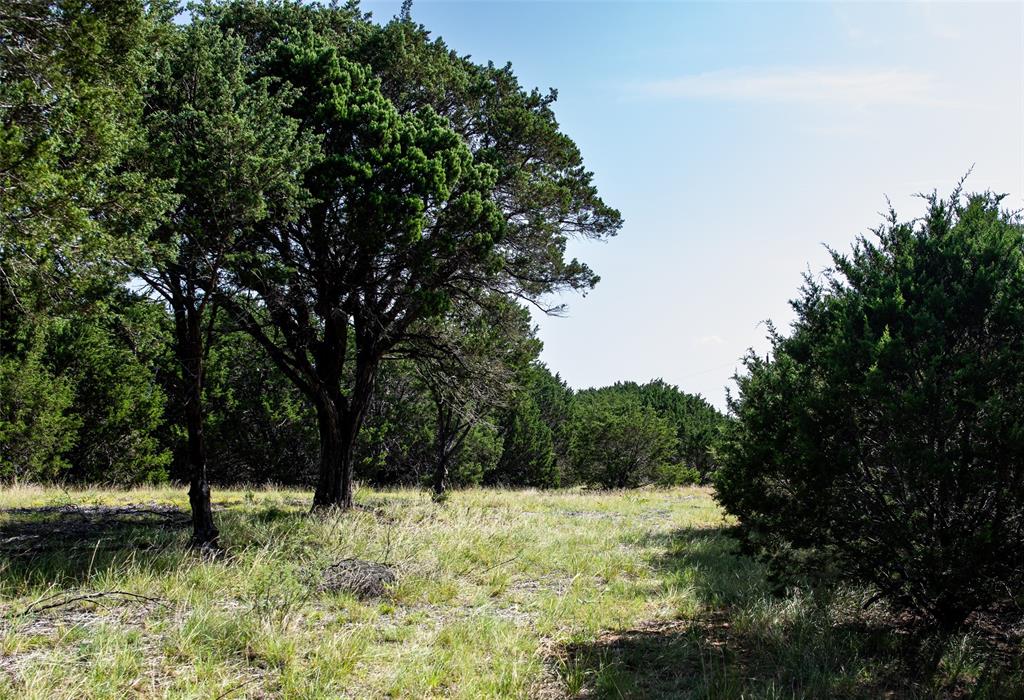 235 Big Bear Loop Strawn, TX 76475 - Photo 15 of 40 a view of an outdoor space