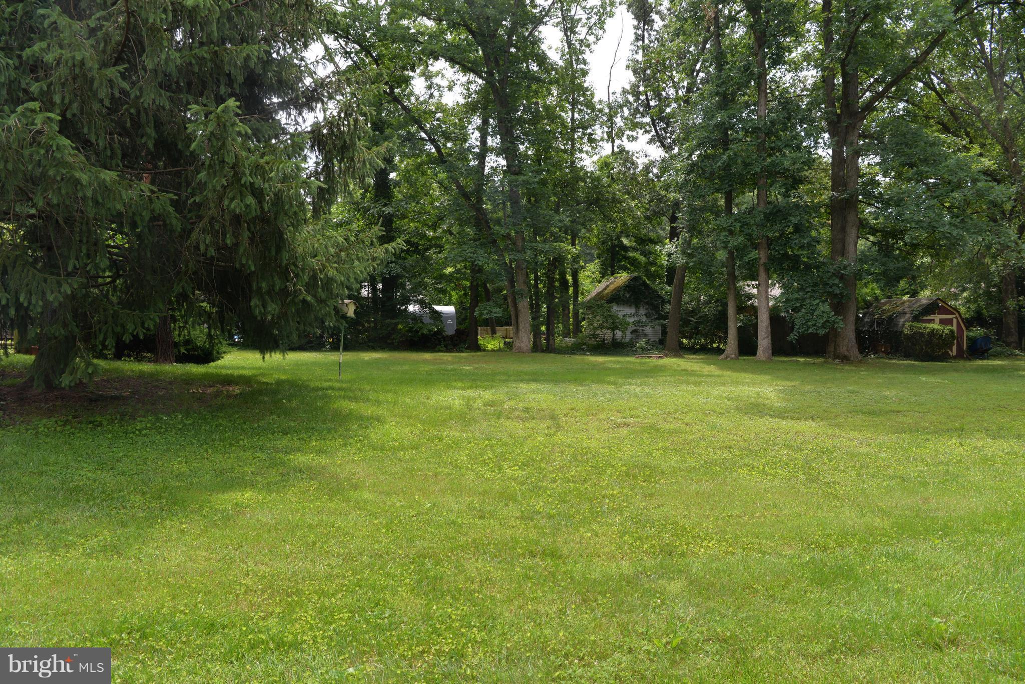 6427 Pima Street Alexandria, VA 22312 - Photo 25 of 30 a view of a grassy field with trees