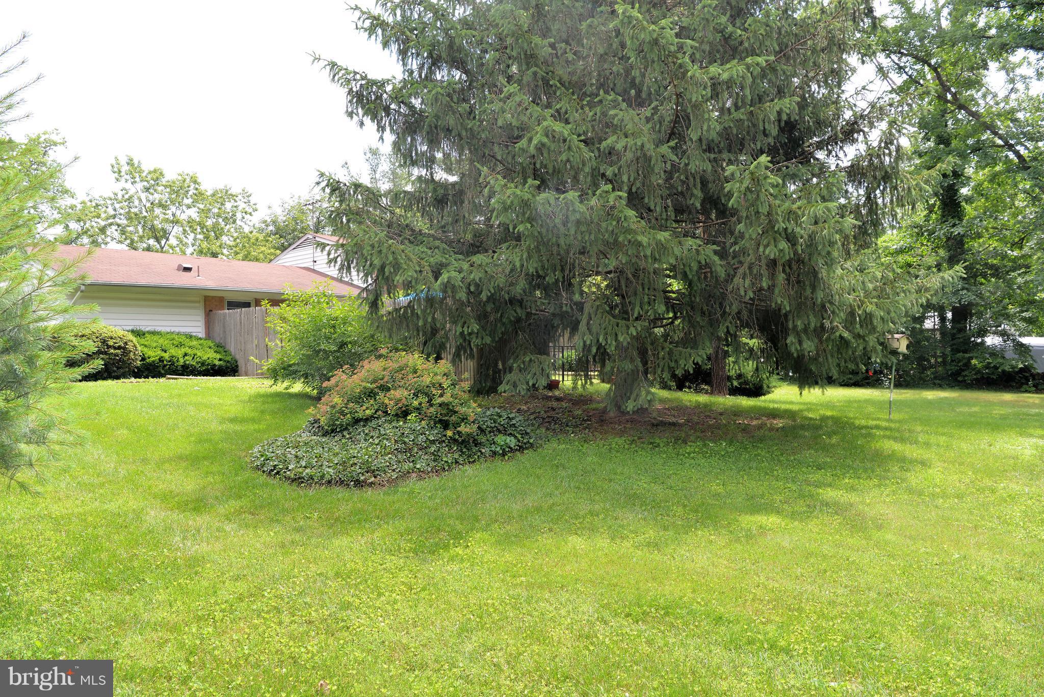 6427 Pima Street Alexandria, VA 22312 - Photo 26 of 30 a view of a garden with large trees