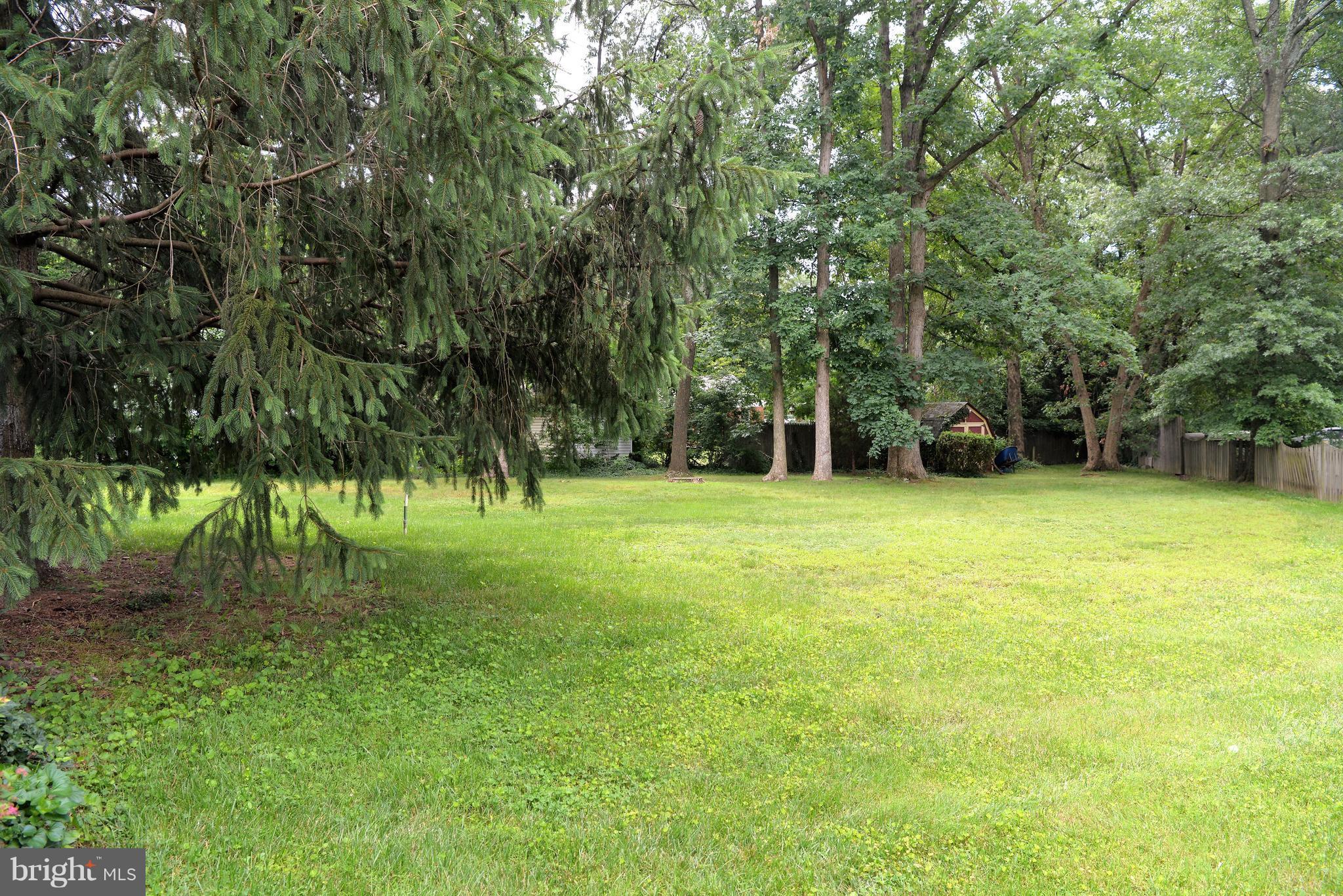 6427 Pima Street Alexandria, VA 22312 - Photo 27 of 30 a view of a tree in a yard
