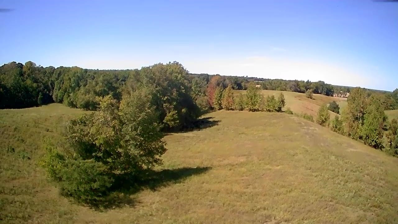 Butler Road Newbern, TN 38059 - Photo 11 of 16 a view of mountain view with mountain view