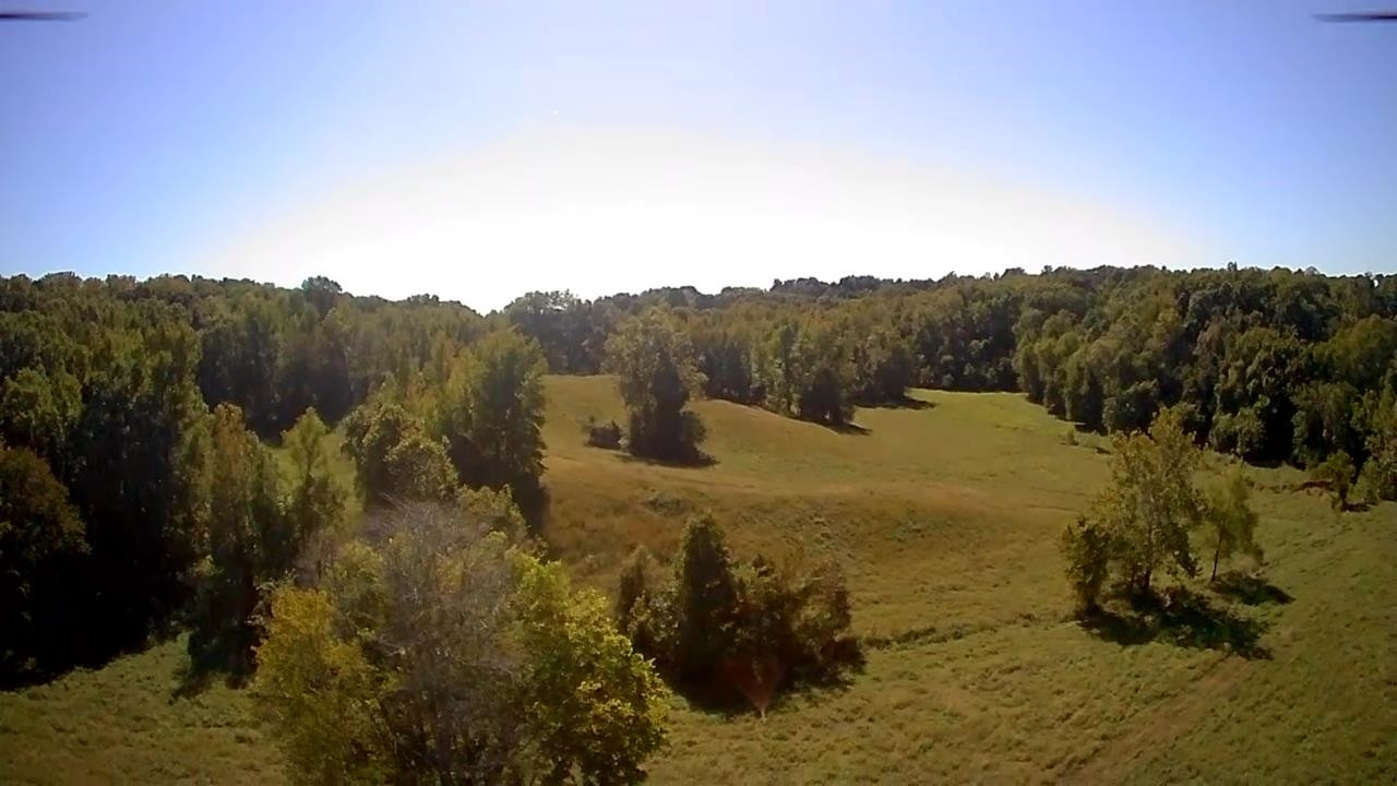 Butler Road Newbern, TN 38059 - Photo 12 of 16 a view of a yard with a mountain view
