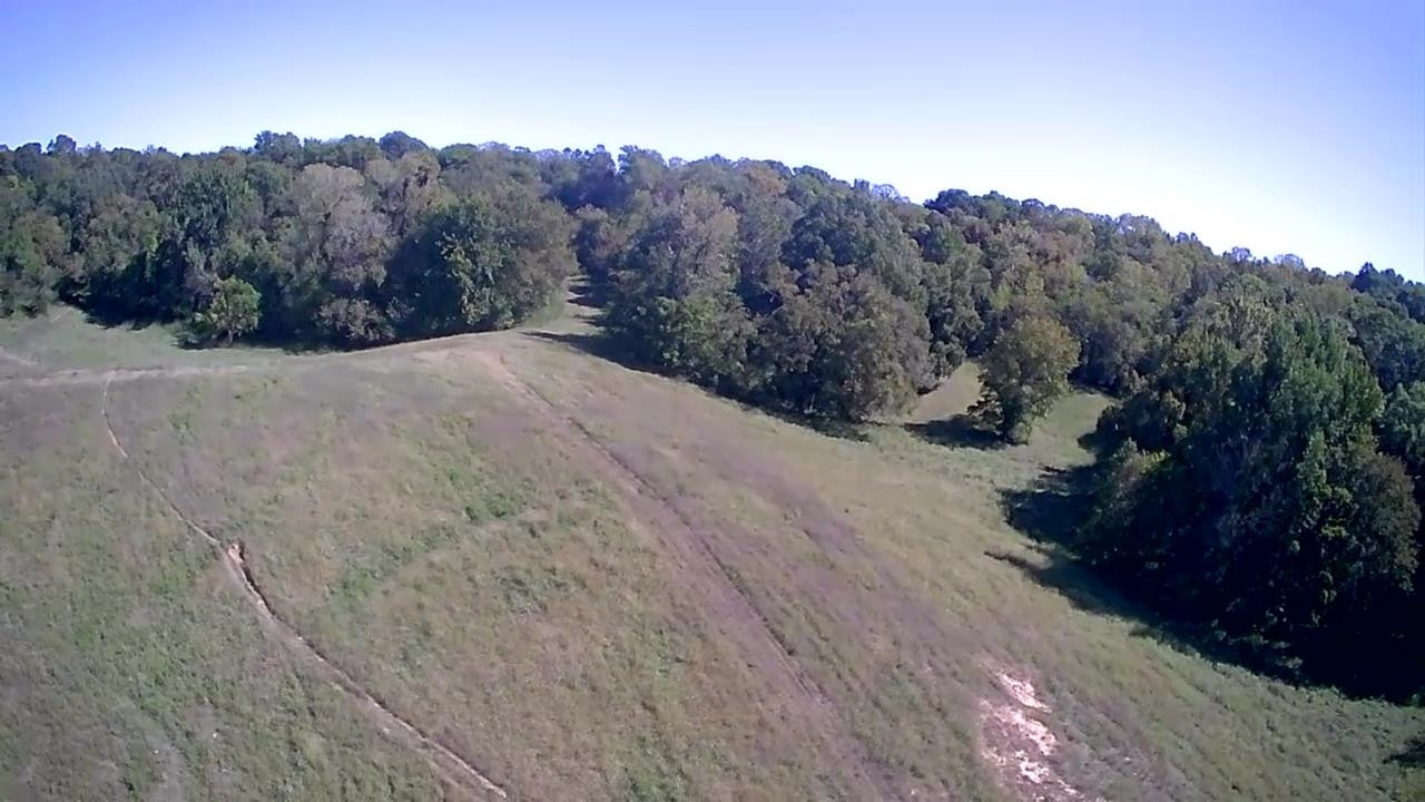Butler Road Newbern, TN 38059 - Photo 13 of 16 a view of mountain view with mountain view
