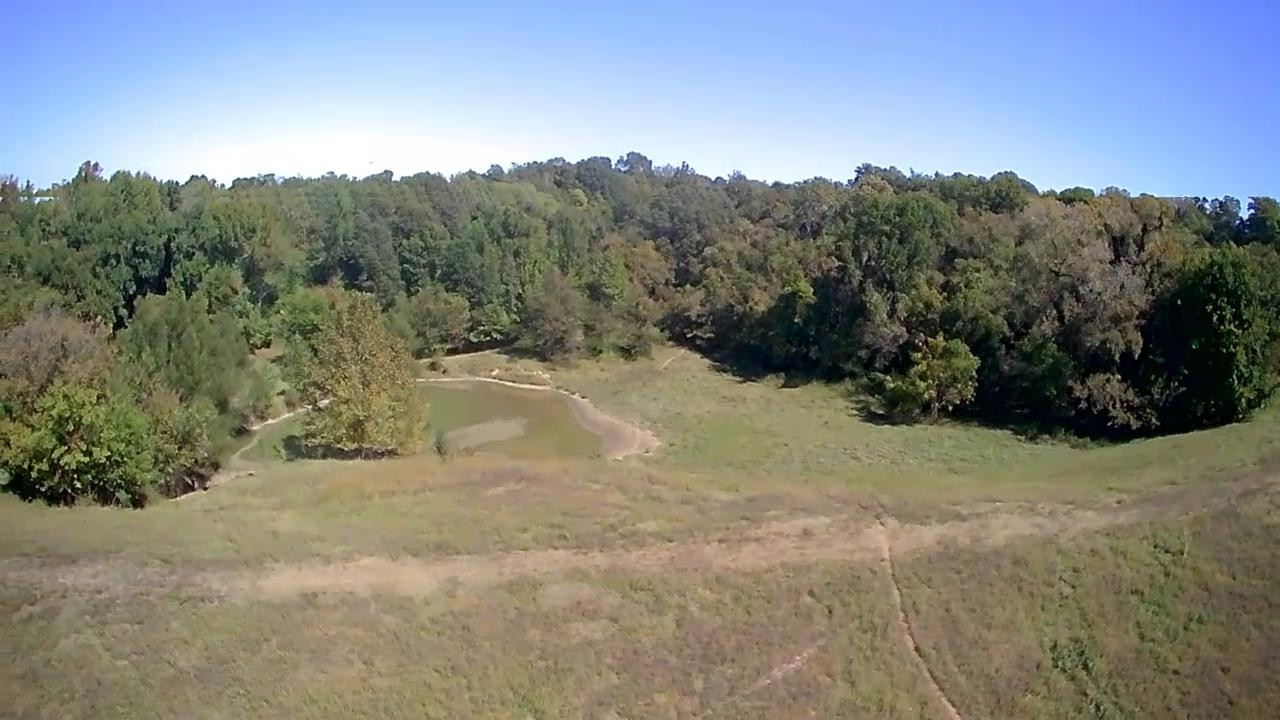 Butler Road Newbern, TN 38059 - Photo 14 of 16 a view of a backyard of a house