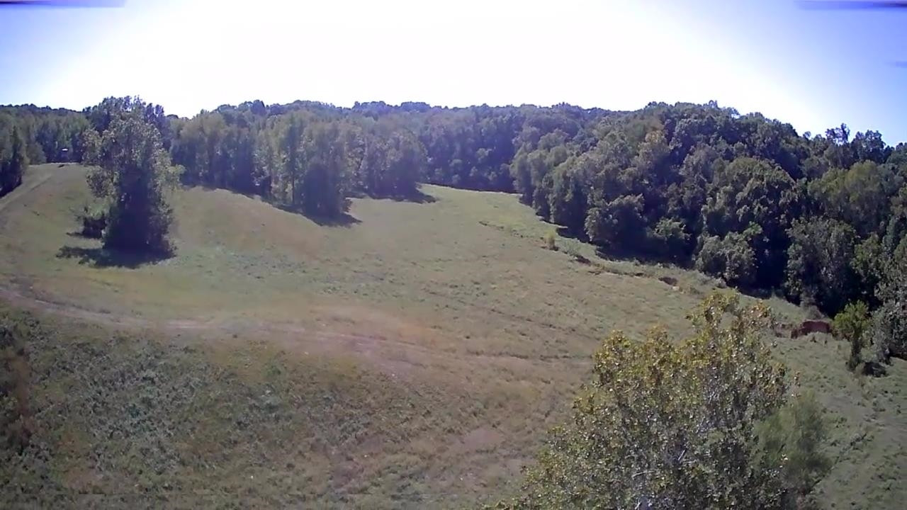 Butler Road Newbern, TN 38059 - Photo 15 of 16 a view of outdoor space and mountain view