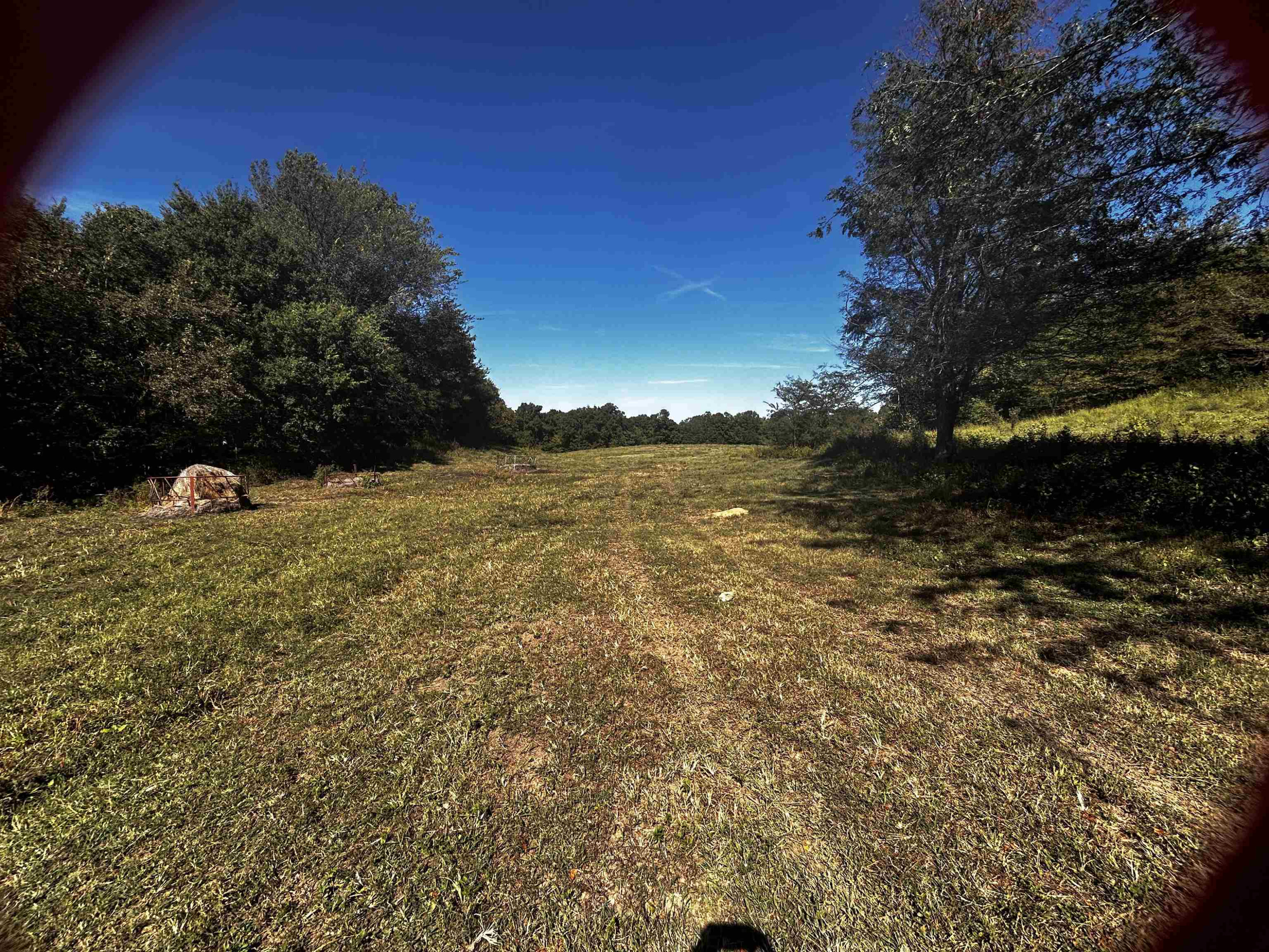 Butler Road Newbern, TN 38059 - Photo 2 of 16 a view of a field with an ocean