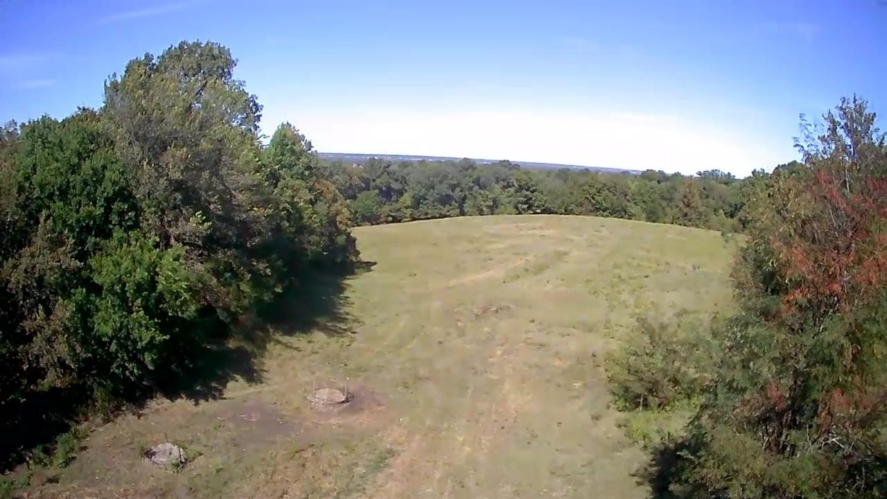 Butler Road Newbern, TN 38059 - Photo 3 of 16 a view of outdoor space and yard