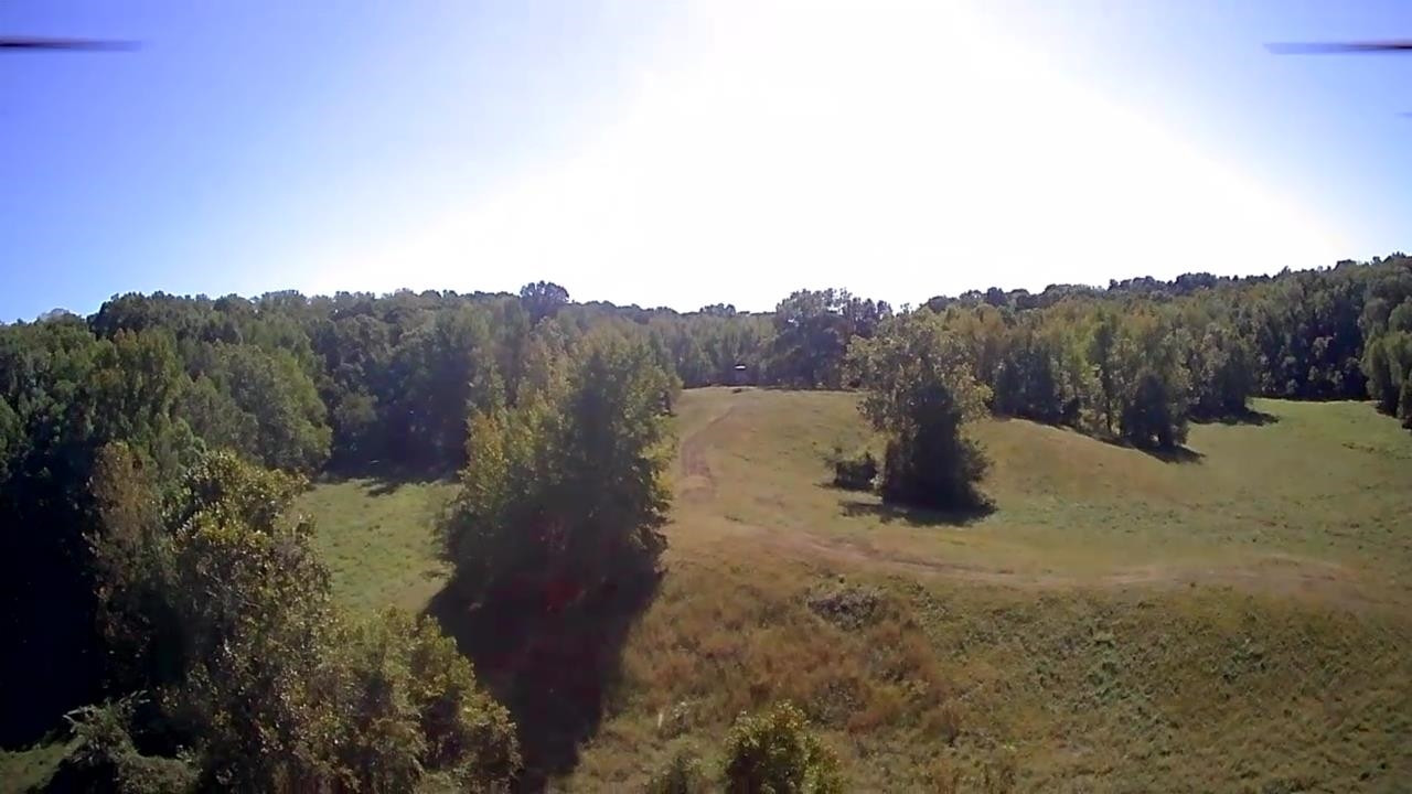 Butler Road Newbern, TN 38059 - Photo 4 of 16 a view of a yard with a mountain