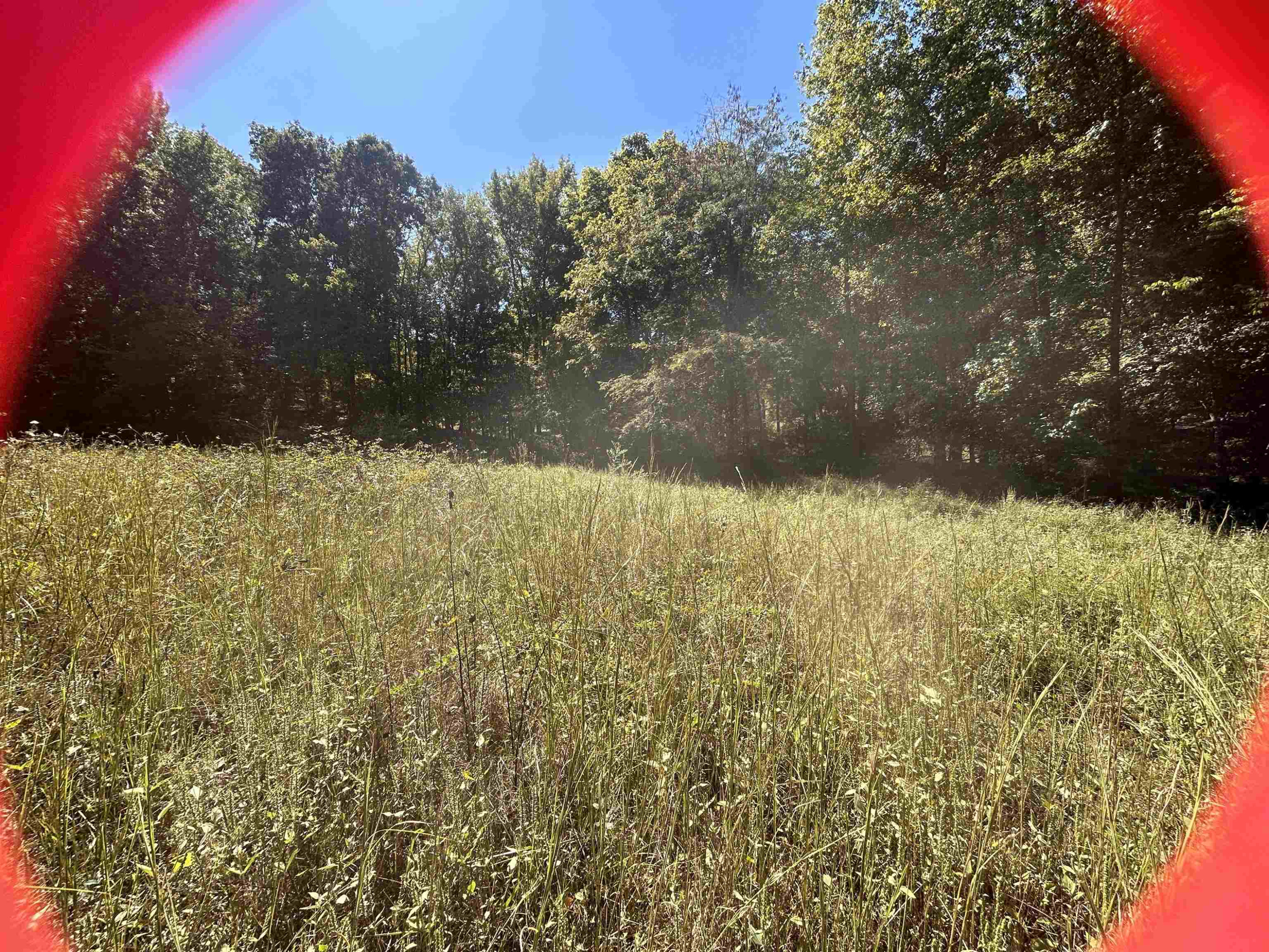 Butler Road Newbern, TN 38059 - Photo 5 of 16 a view of yard covered with green space