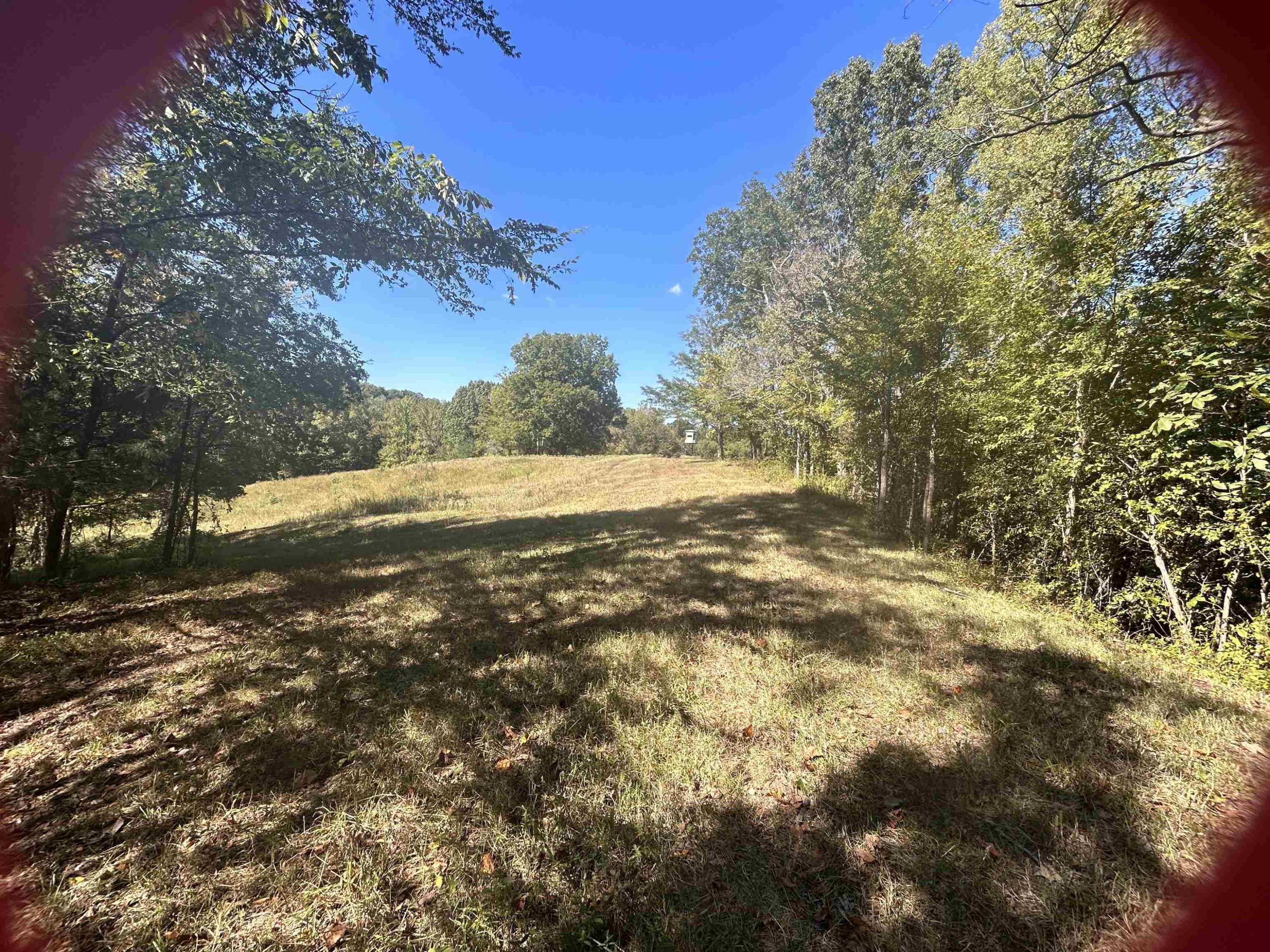 Butler Road Newbern, TN 38059 - Photo 6 of 16 a view of beach and yard