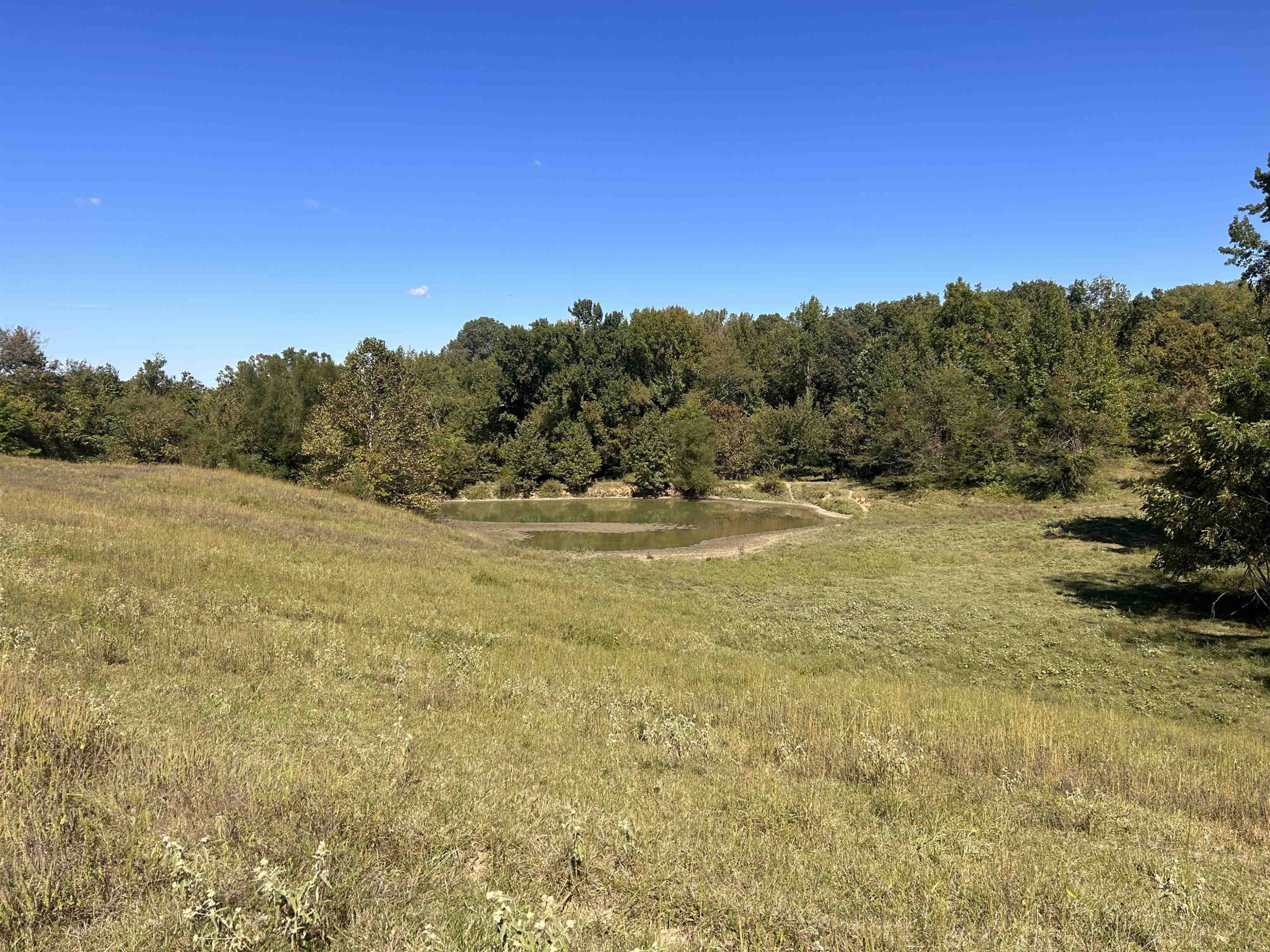 Butler Road Newbern, TN 38059 - Photo 8 of 16 a view of a field with an ocean
