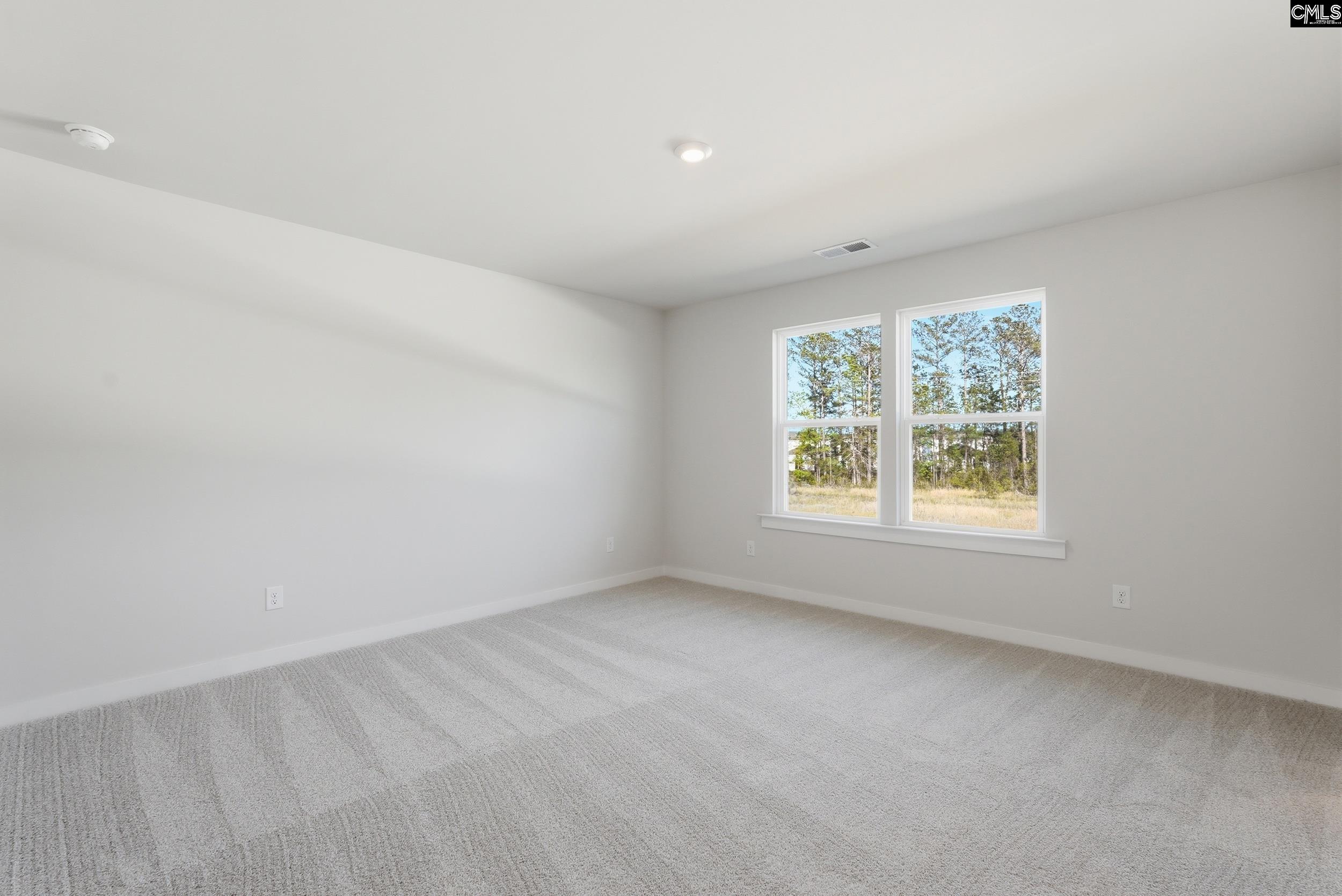 3069 Hanging Valley Road Blythewood, SC 29016 - Photo 28 of 40 Gallery Image 28