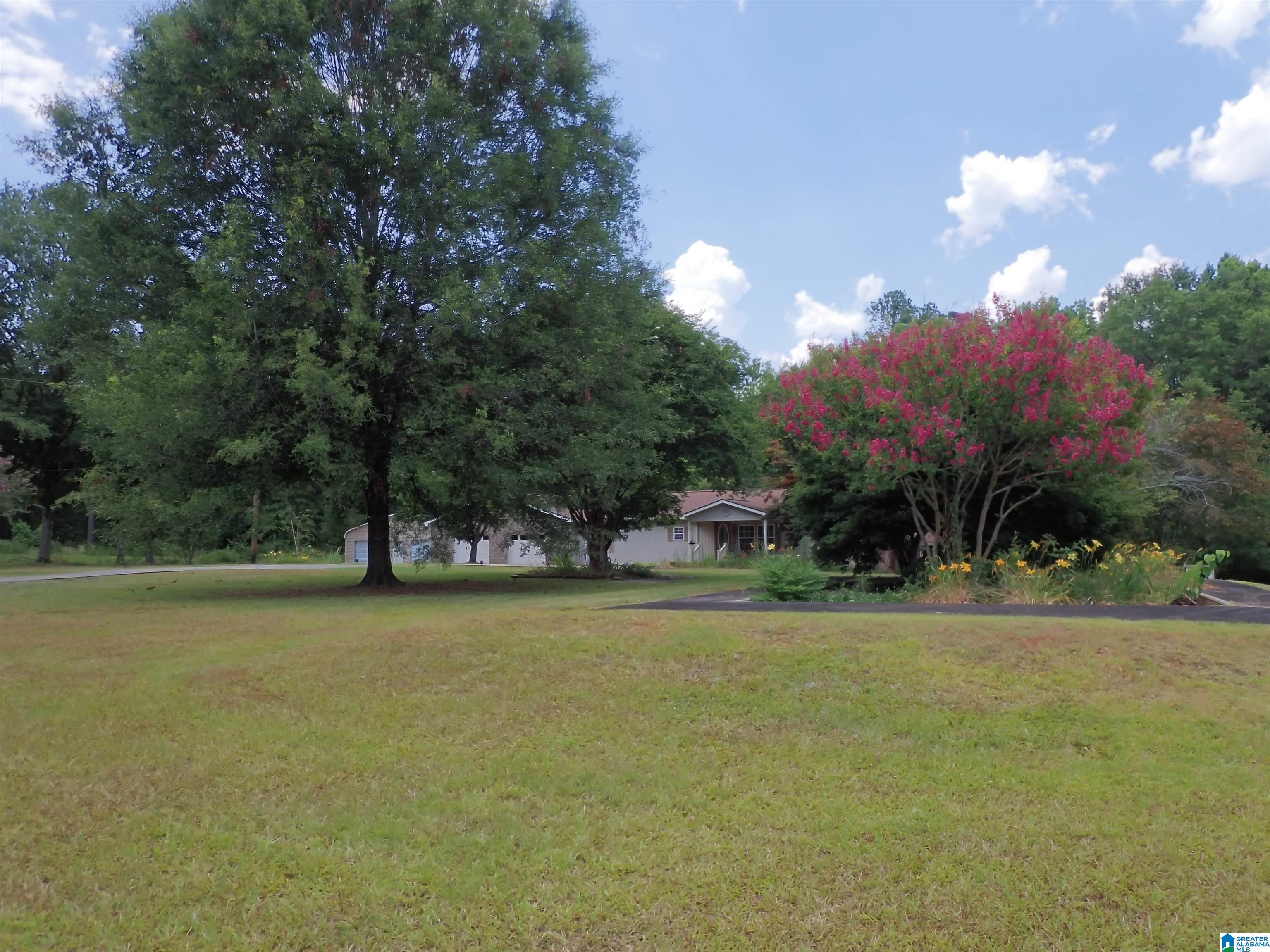 1844 Center Hill Road Sylacauga, AL 35150 - Photo 3 of 23