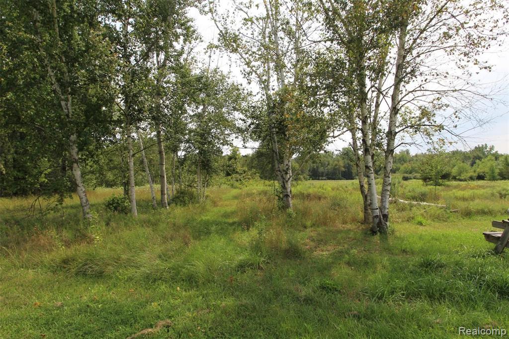 3590 James Road Caro, MI 48723 - Photo 35 of 65