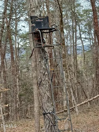 $160,000 | 20-acres Dunville Gap Road, Rutledge, TN 37861