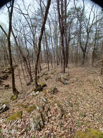 $160,000 | 20-acres Dunville Gap Road, Rutledge, TN 37861
