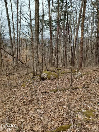 $160,000 | 20-acres Dunville Gap Road, Rutledge, TN 37861