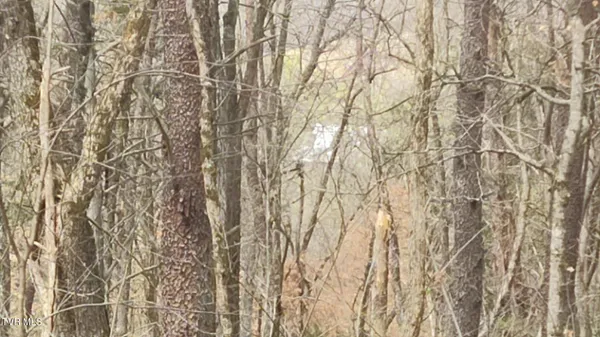 $160,000 | 20-acres Dunville Gap Road, Rutledge, TN 37861