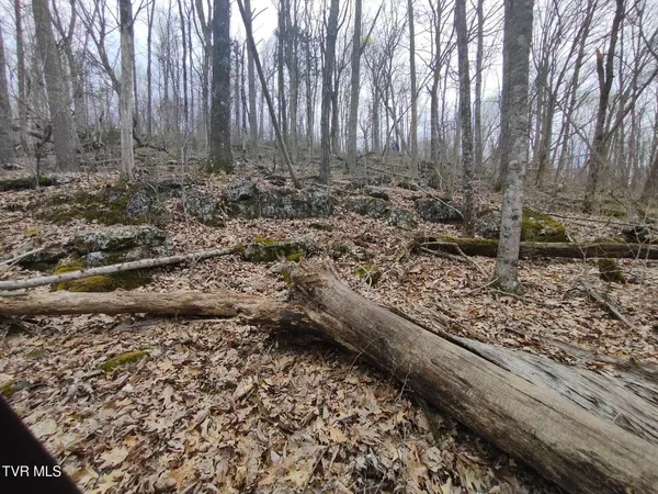 $160,000 | 20-acres Dunville Gap Road, Rutledge, TN 37861