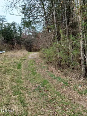 $160,000 | 20-acres Dunville Gap Road, Rutledge, TN 37861