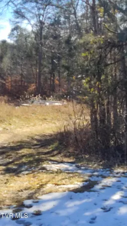 $160,000 | 20-acres Dunville Gap Road, Rutledge, TN 37861