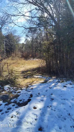 $160,000 | 20-acres Dunville Gap Road, Rutledge, TN 37861