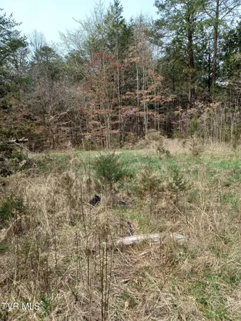 $160,000 | 20-acres Dunville Gap Road, Rutledge, TN 37861