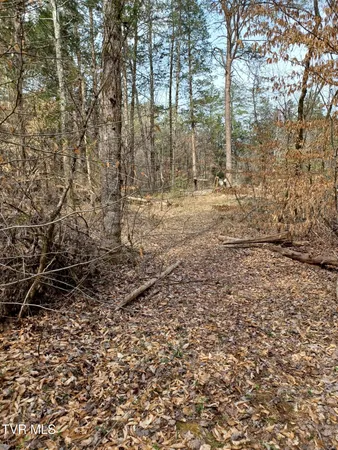 $160,000 | 20-acres Dunville Gap Road, Rutledge, TN 37861