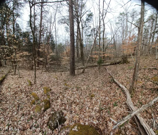 $160,000 | 20-acres Dunville Gap Road, Rutledge, TN 37861