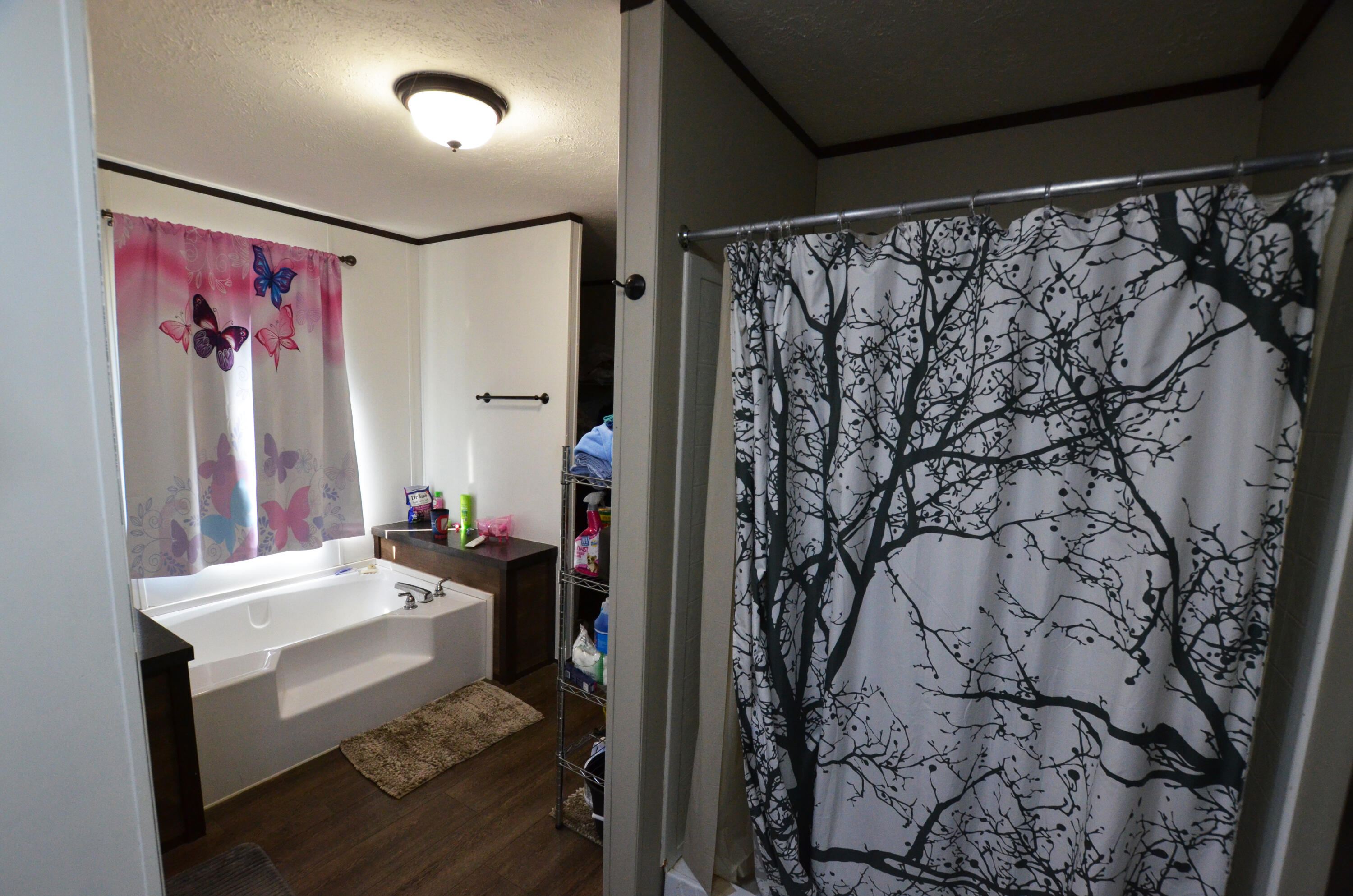 3425 Fitchburg Road Ravenna, KY 40472 - Photo 24 of 76 Soak or shower!